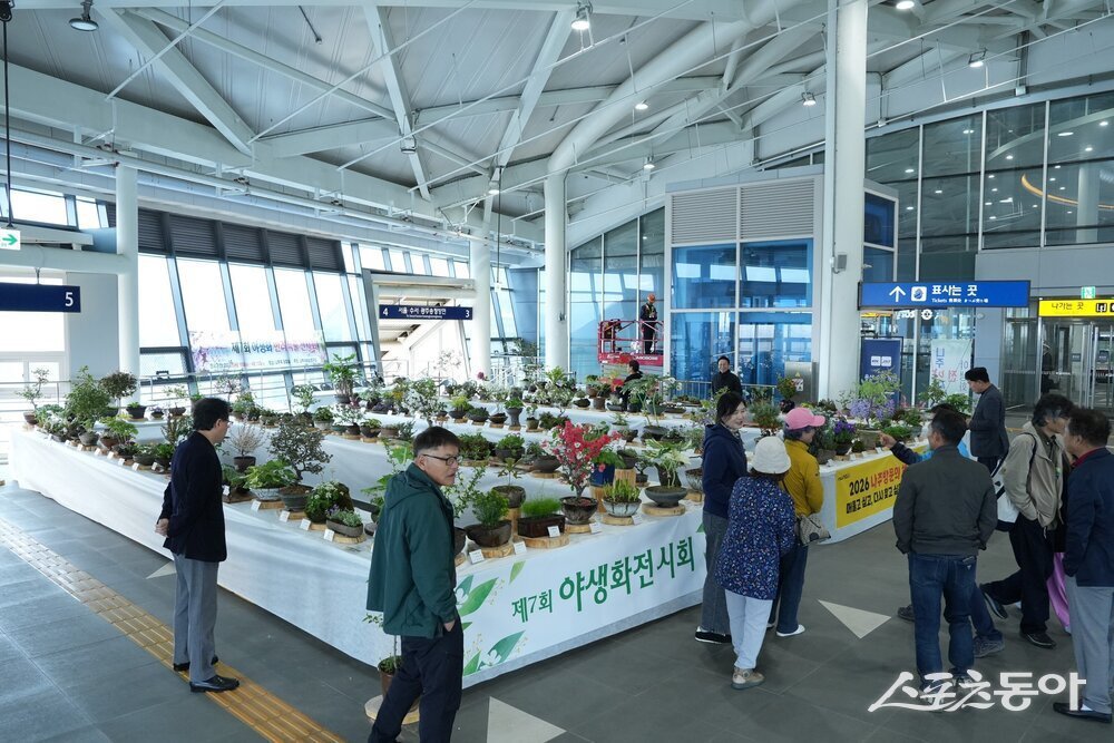 나주시와 나주시 야생화연구회는 지난 10일부터 12일까지 나주역 전시장에서 열린 ‘2026년 제7회 야생화 전시회’를 성황리에 마무리했다. 사진제공 I 나주시