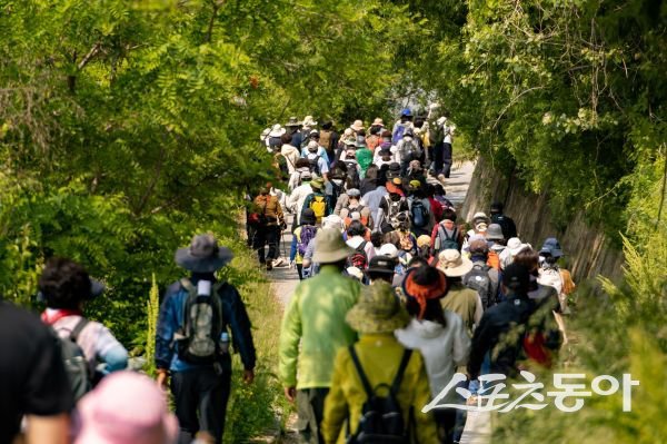 동서트레일 영주 구간 중 죽령옛길을 걷고 있는 사람들의 모습. 사진제공ㅣ영주시
