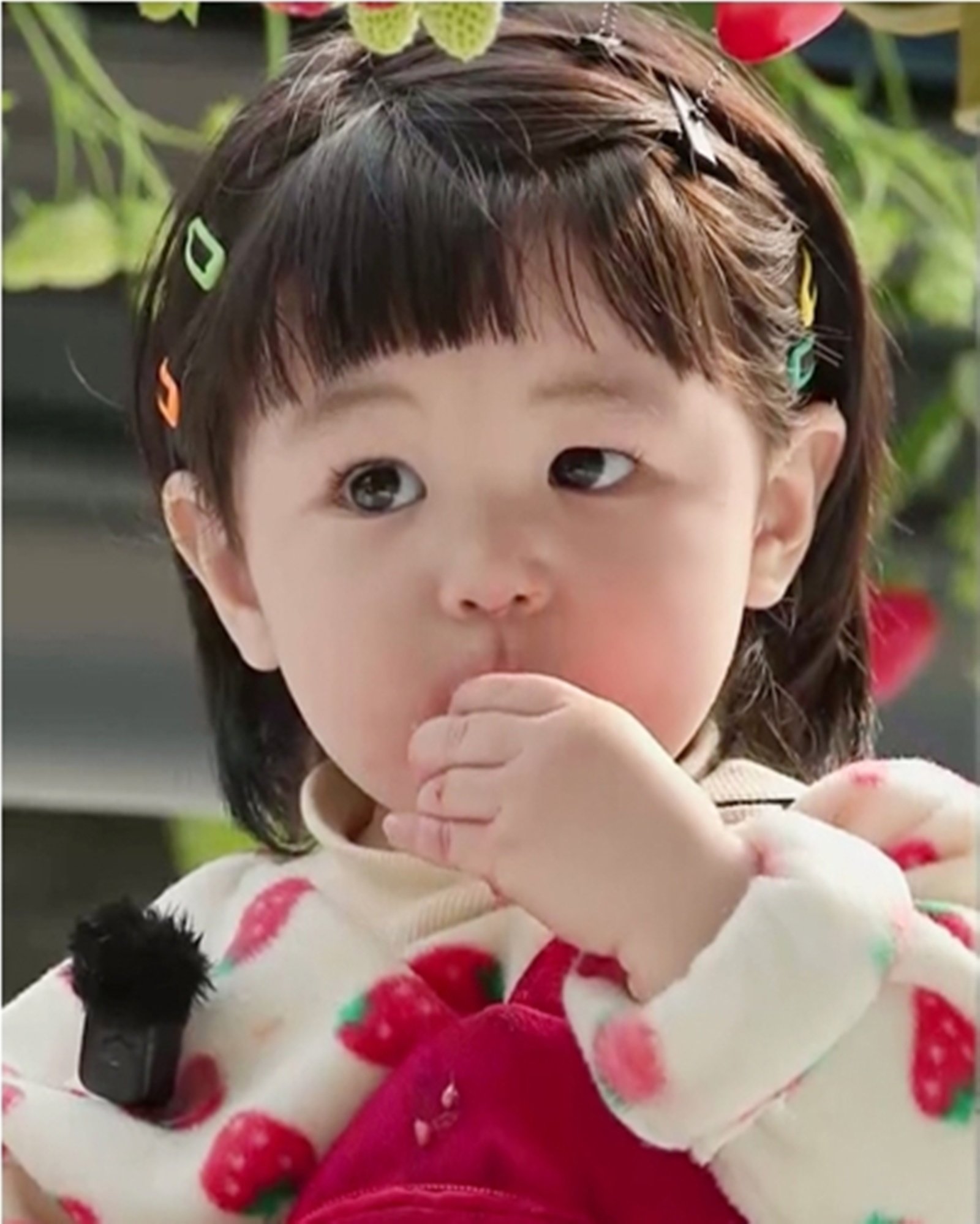 심형탁 子 하루, 2대 딸기왕자 등극…딸기옷+머리핀 찰떡 소화 (슈돌)