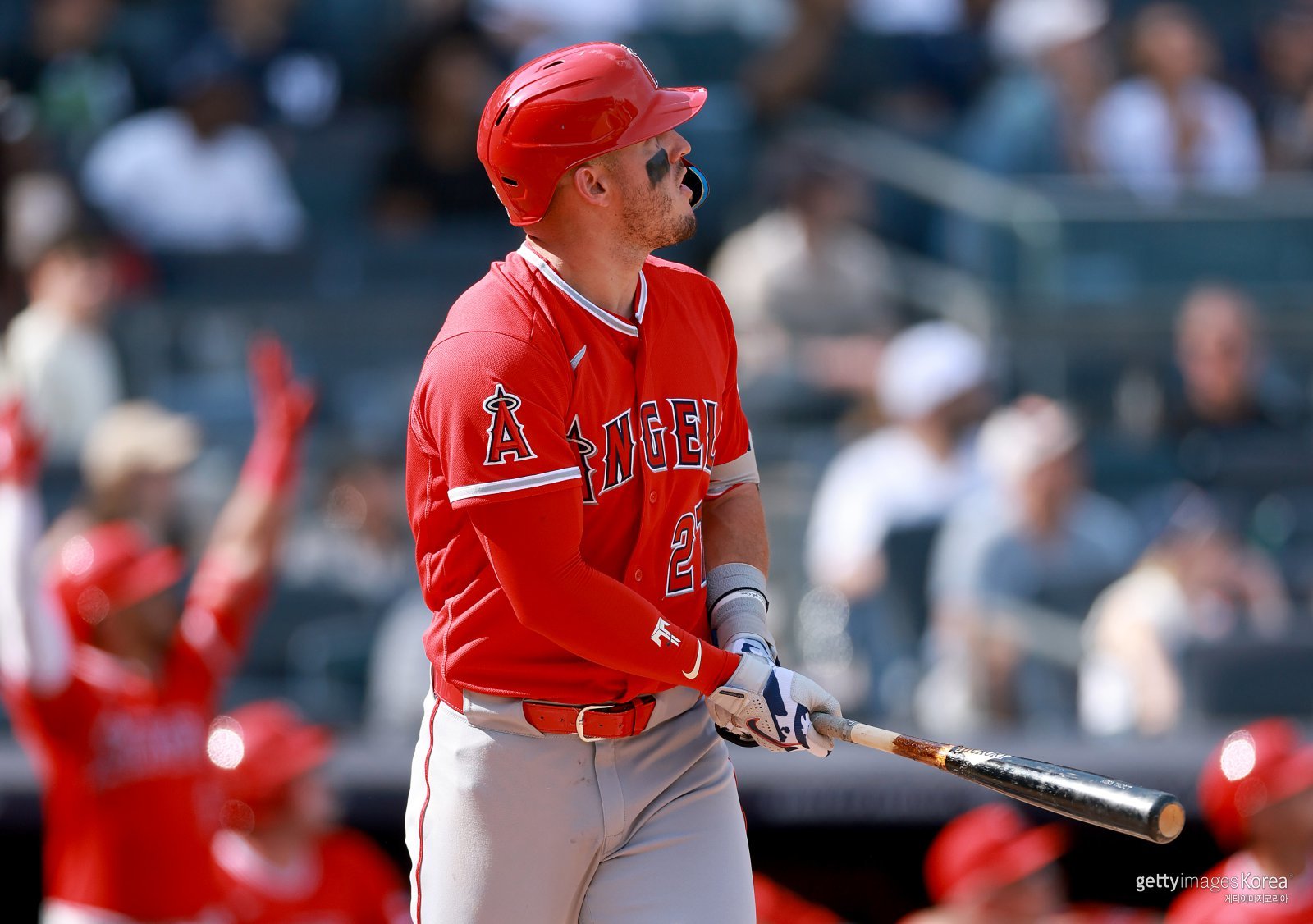 ‘wRC+ 171’ 트라웃은 왜 부활했나 ‘집 나갔던 선구안이 돌아왔다’