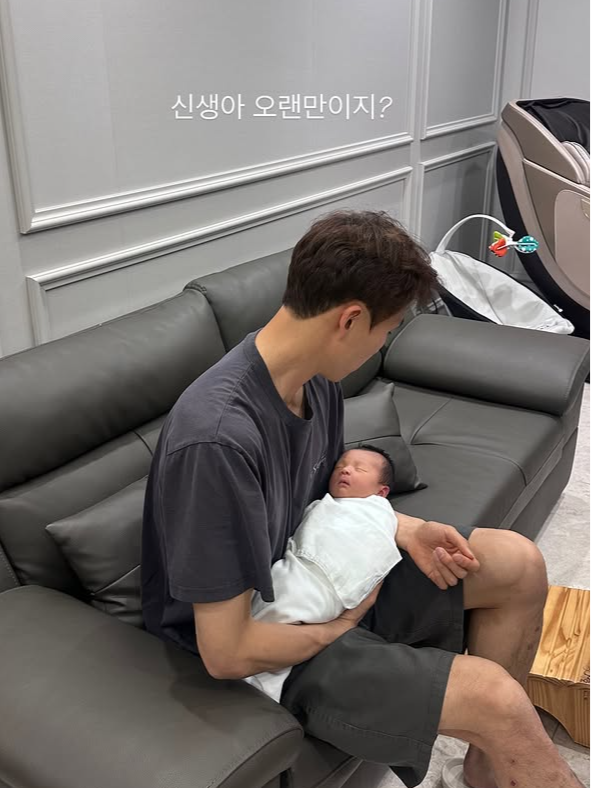 나비 SNS 캡처