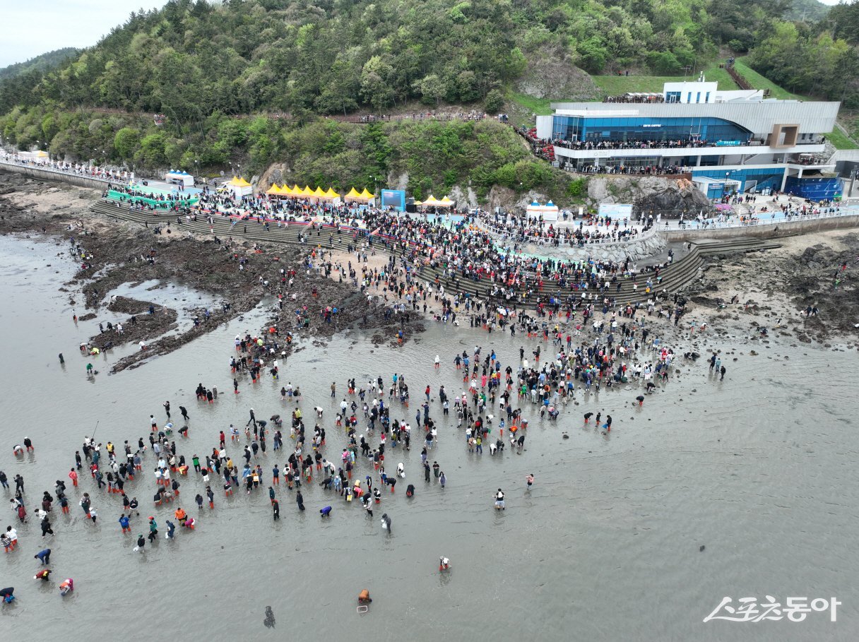 제46회 진도 신비의 바닷길 축제  현장. 사진제공=진도군