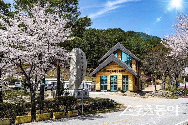 울진 구수곡자연휴양림 입구. 사진제공 ㅣ 울진군