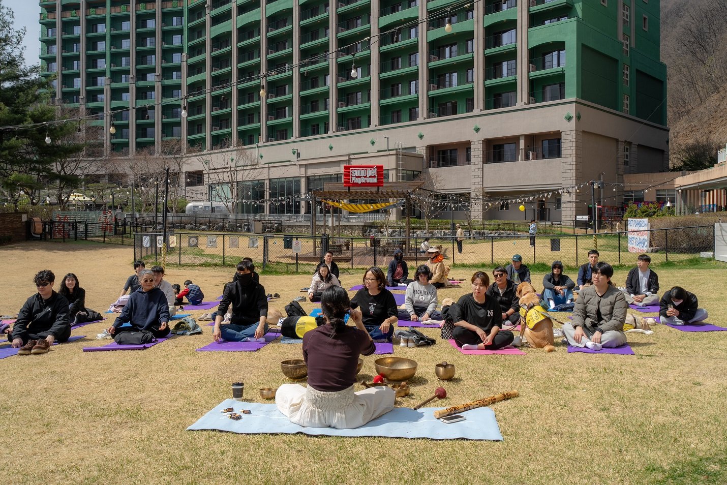 안내견과 함께 하는 싱잉볼 명상 체험