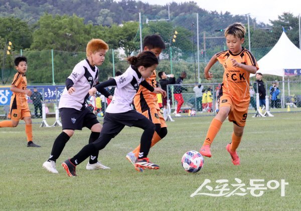 ‘2025 화랑대기 전국 유소년 축구대회 U-10 축구 페스티벌’ 경기 모습. 사진제공 ㅣ 경주시