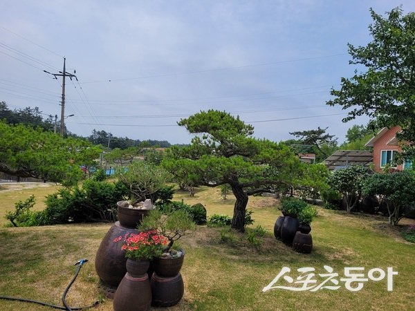 신안군은 주민 주도의 생활 속 녹색 공간 조성을 활성화하고자, 개인정원을 등록·관리하는 주민에게 실질적인 상하수도 요금 감면 혜택을 제공하며 큰 호응을 얻고 있다고 밝혔다. 사진제공=신안군