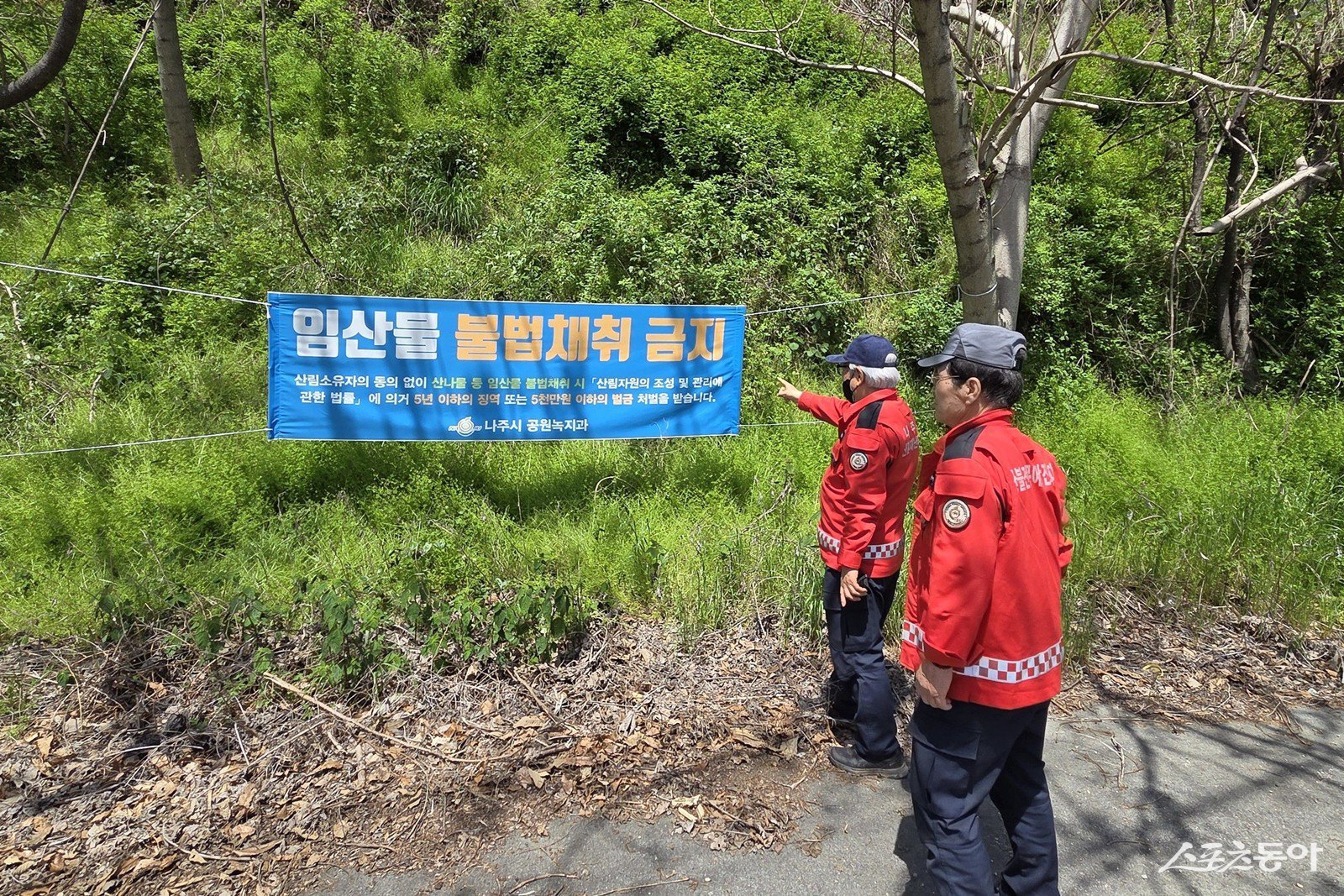 나주시는 5월 1일부터 5일까지 이어지는 연휴 기간에 산림 내 불법행위 증가가 예상됨에 따라 산불 예방과 불법 임산물 채취 집중 단속을 실시한다고 밝혔다. 사진제공=나주시