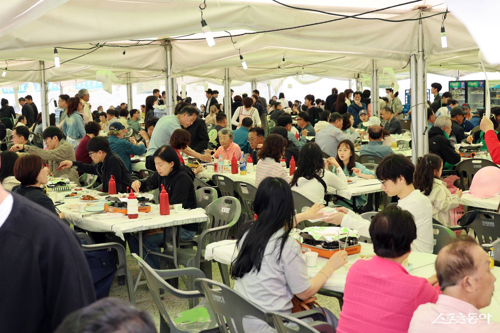 축제 첫날부터 현장은 싱싱한 키조개를 맛보려는 미식가들의 발길로 문전성시를 이뤘다. 사진제공=장흥군