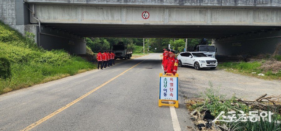화순군은 오는 10월 말까지 ‘소나무류 무단이동 특별단속’을 실시해 불법 유통과 부적정 취급 행위를 집중 점검한다. 사진제공=화순군