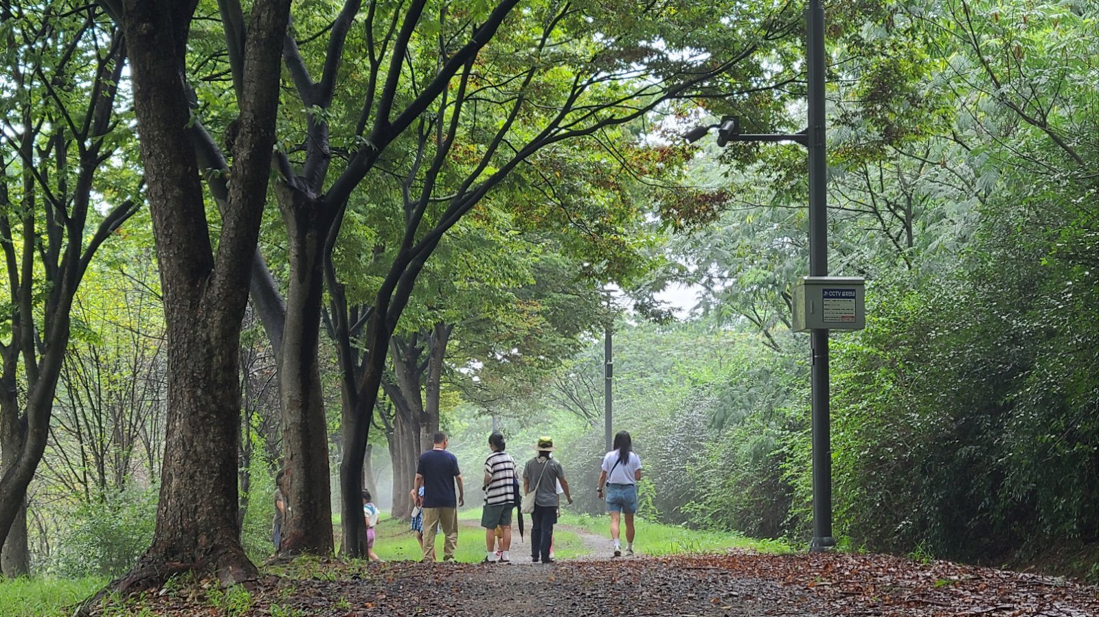 경륜경정총괄본부, 16일부터 미사경정공원서 ‘숲 체험·가족러닝·문화교실’ 운영