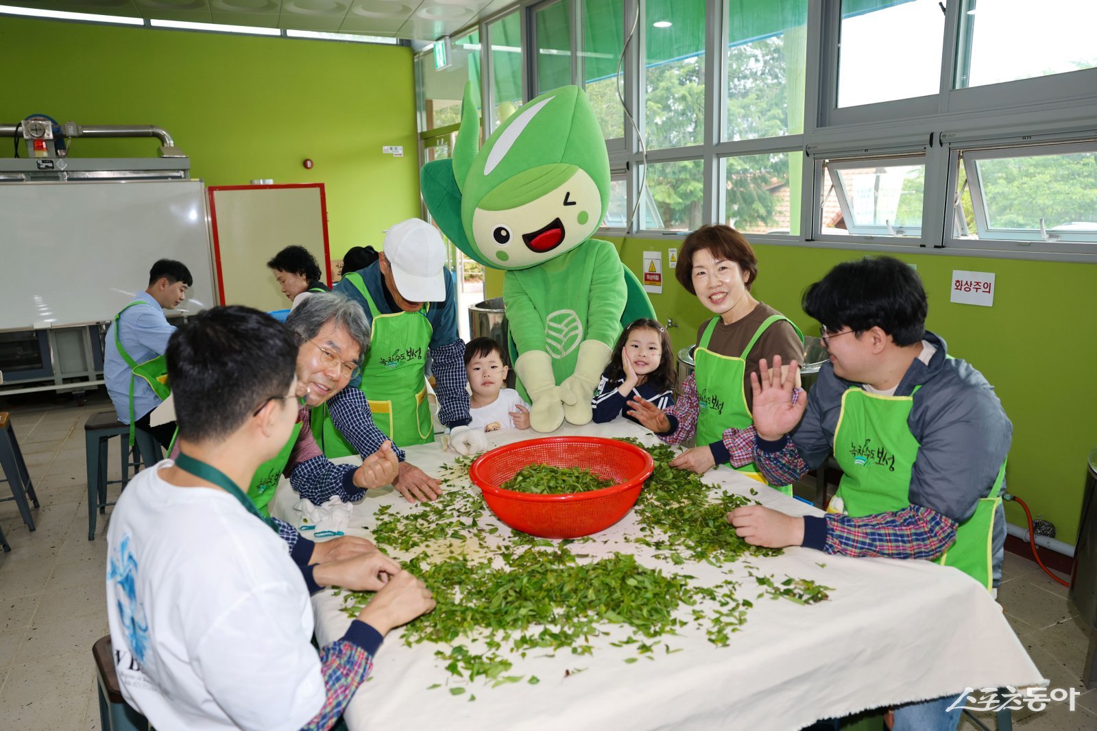 제49회 보성다향대축제에 참여한 관광객들이 차만들기 체험을 하고 있다. 사진제공=보성군