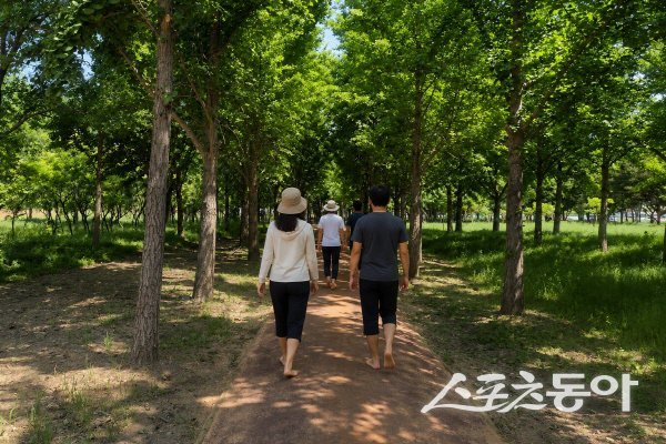 경주시 황성문화공원 맨발둘레길을 시민들이 이용하고 있다. 사진제공 ㅣ 경주시
