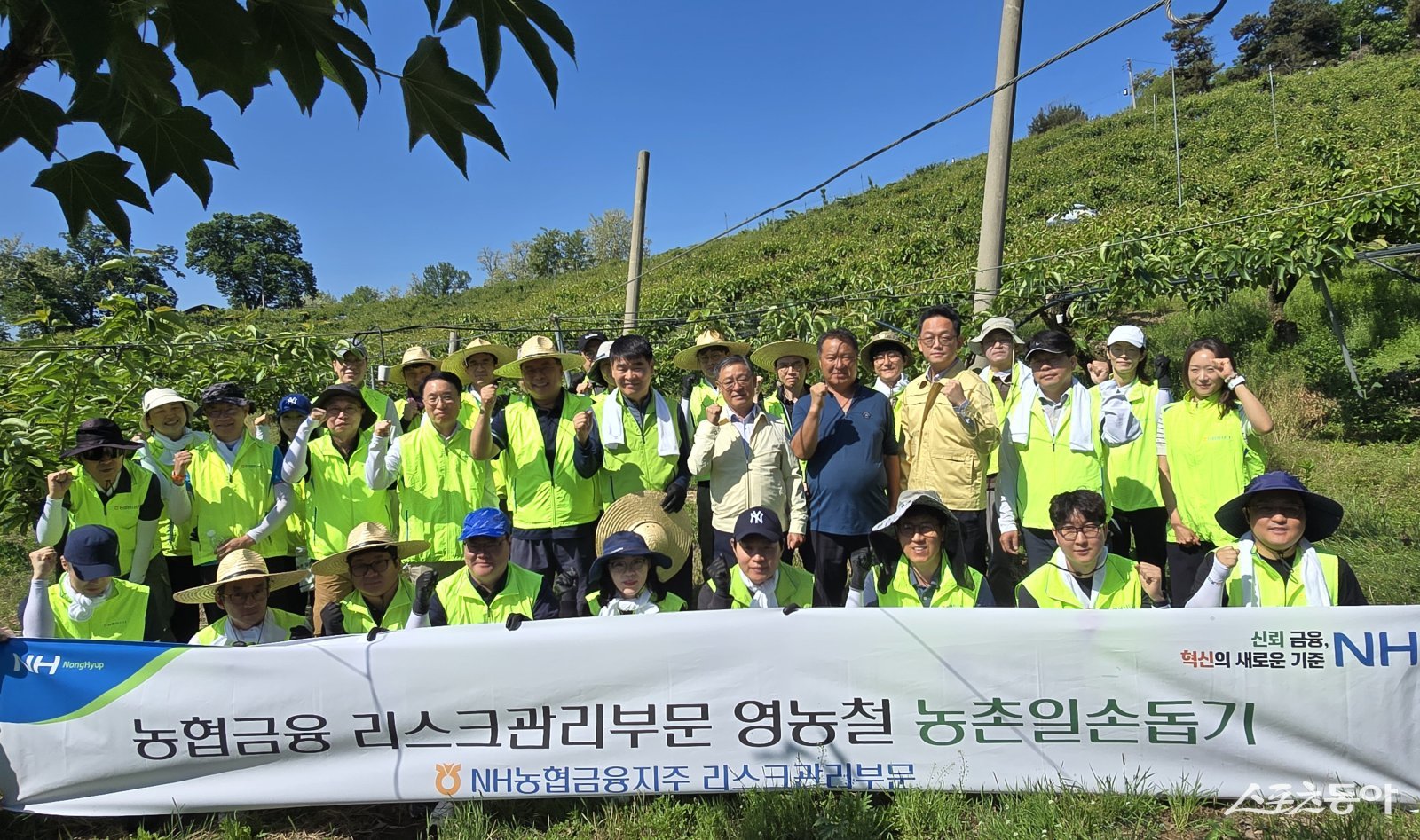 농협중앙회 남양주시지부와 NH농협금융 리스크관리부문 임직원 40여명이 남양주시 미금농협 관내 농가를 찾아 일손돕기 전 기념촬영을 하고 있다.