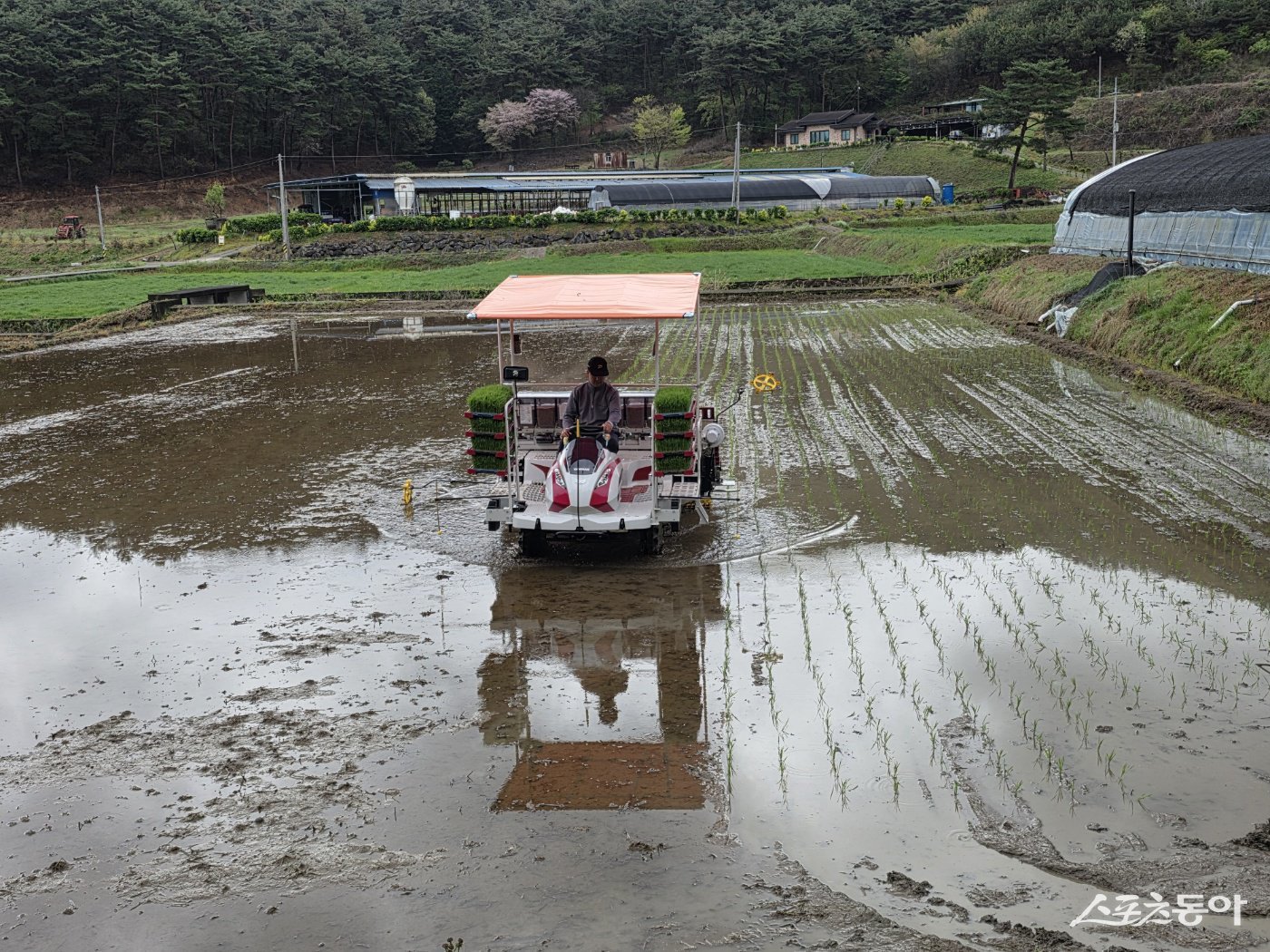 화순군이 본격적인 영농철을 맞아 벼 재배 농가를 대상으로 적정 모내기 시기 안내와 현장 기술 지원을 확대하고 있다. 사진제공=화순군
