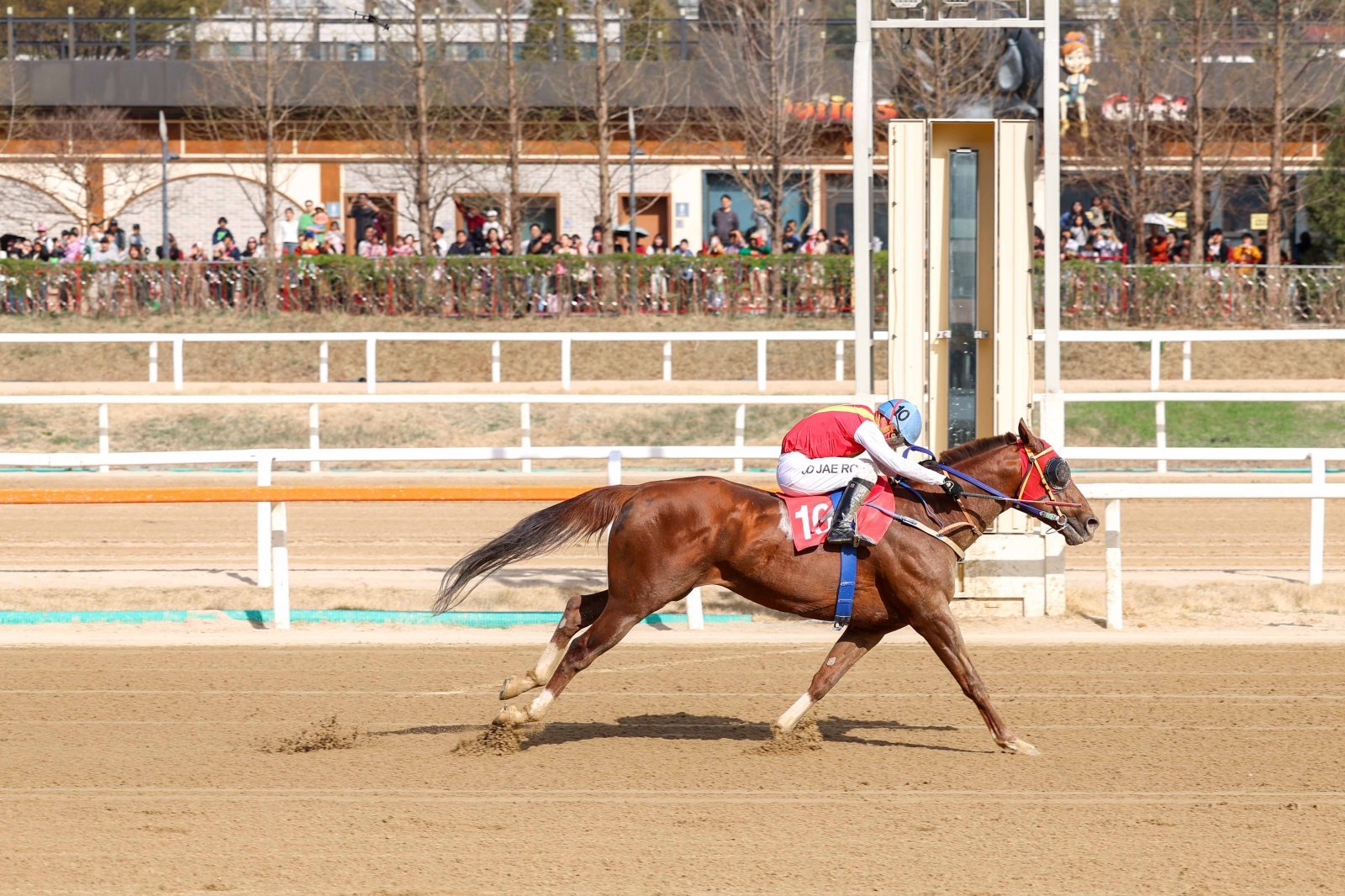 ‘빈체로카발로’ 2년 연속 스프린터 시리즈 삼관마 오를까