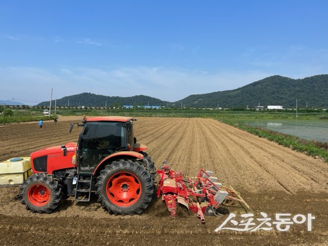 화순군은 19일 장마철 집중호우로 인한 침수 피해를 줄이기 위해 배수 관리와 적기 파종 등 논콩 재배 핵심 관리요령을 적극 안내하고 있다고 밝혔다. 사진제공=화순군