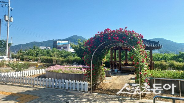 청도군이 기존 텃밭 공간을 활용한 ‘추억쉼터정원’을 새롭게 조성했다. 사진제공 ㅣ 청도군