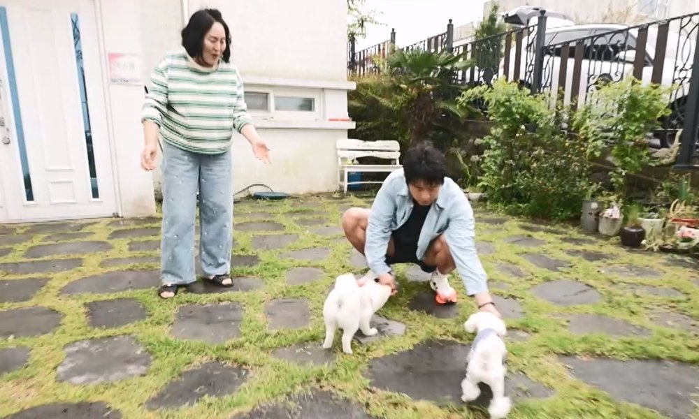 기안84, 제주 본가 行…‘알콩이&달콩이’ 근황 공개 (나혼산)