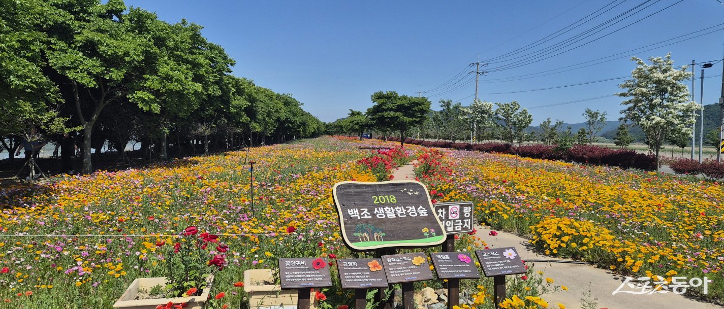 진도 백조 생활환경숲. 사진제공=진도군