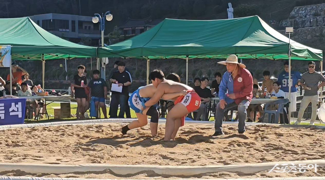영광군은 오는 30일부터 31일까지 이틀간 법성뉴타운 특설 씨름장에서 ‘2026 전라남도지사배 남·여 씨름대회’를 개최한다고 밝혔다. 사진제공=영광군