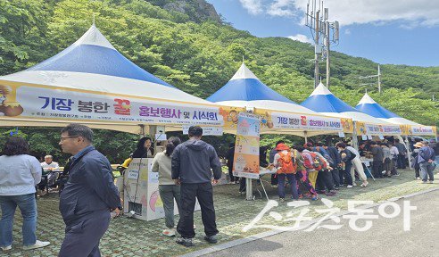 지난해 개최된 제12회 기장 봉한꿀 홍보행사 모습. (사진제공=기장군)