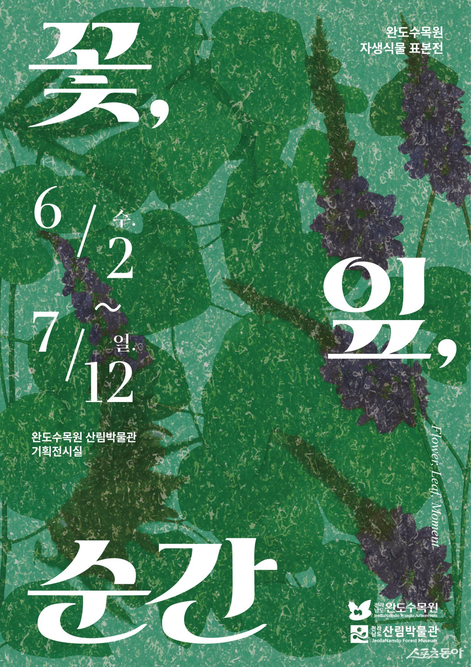 완도수목원 산림박물관 특별전 홍보물. 사진제공=완도군