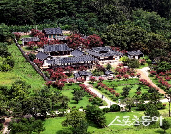 6월의 병산서원은붉은 배롱나무가 꽃을 피우기 시작하면 전통 한옥과 자연이 어우러진 특별한 풍경이 펼쳐진다. 사진제공 ㅣ 안동시