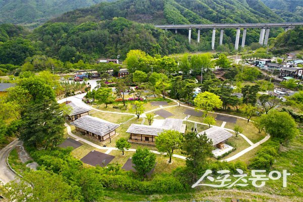 영주시 ‘소백산별빛 캠핑장’ 전경. 사진제공 ㅣ 영주시