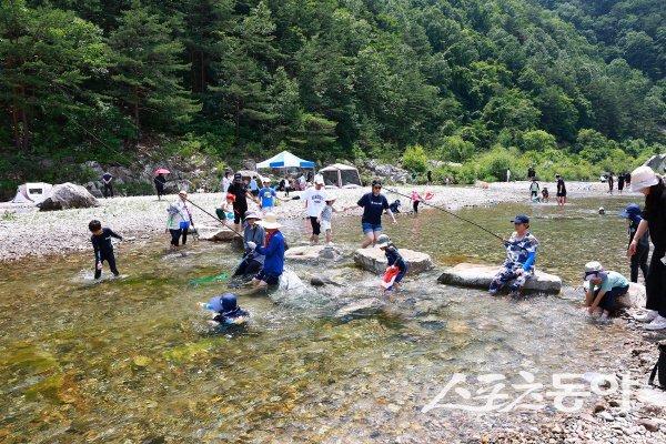 지난해 ‘왕피천 피래미 축제’에서 참가자들이 즐기고 있다. 사진제공 ㅣ 울진군