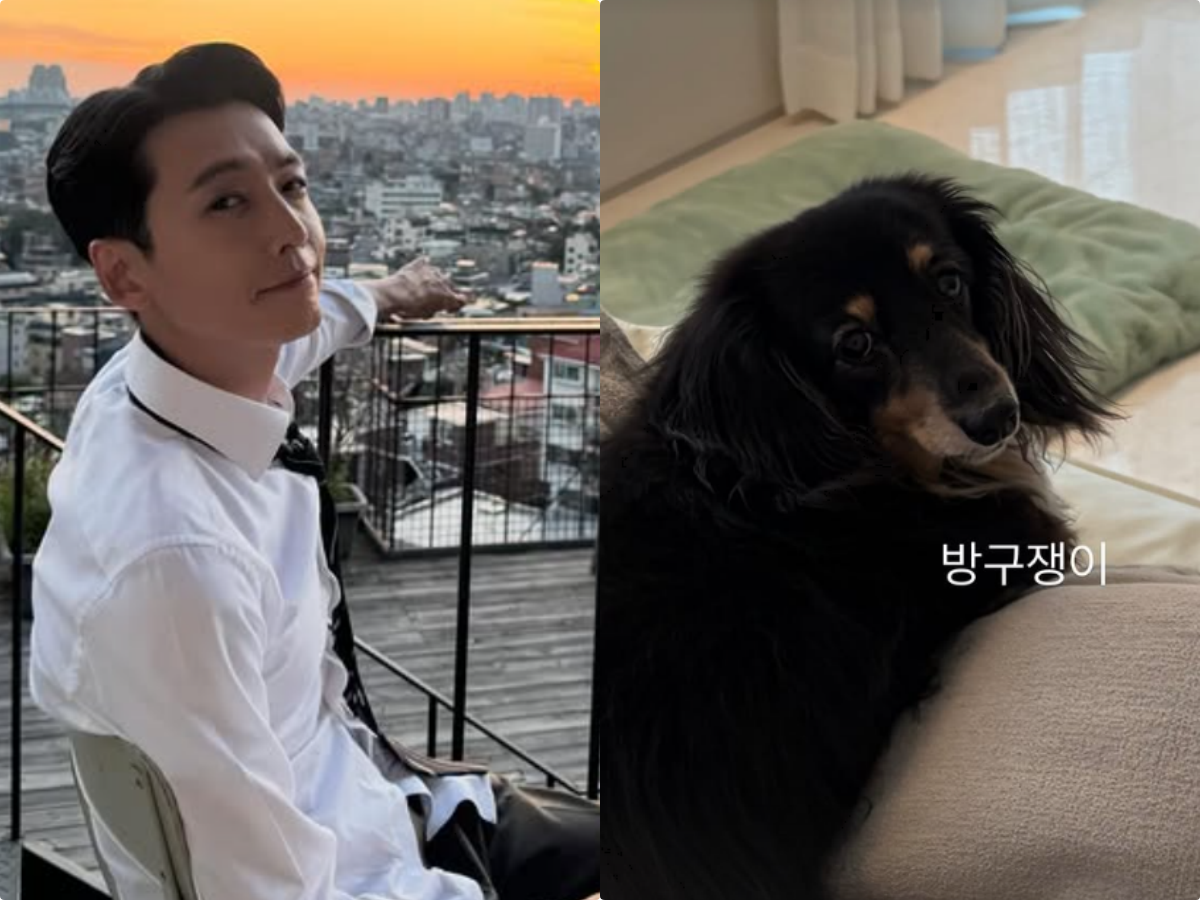 ‘정경호-최수영’ 이름 딴 호영이…결별 당일 근황 눈길 [SD이슈]