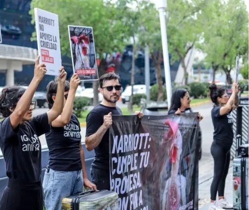 축구국가대표팀이 북중미월드컵 기간 머물고 있는 숙소인 멕시코 할리스코주 과달라하라 사포판의 웨스틴 과달라하라 앞에서 동물권 보호를 촉구하는 시위가 한창이다. 사진출처|애니멀 이퀄리티