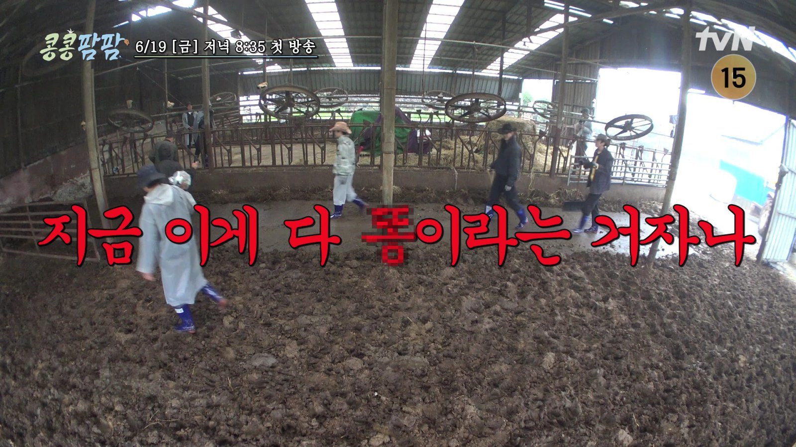 사진제공|tvN