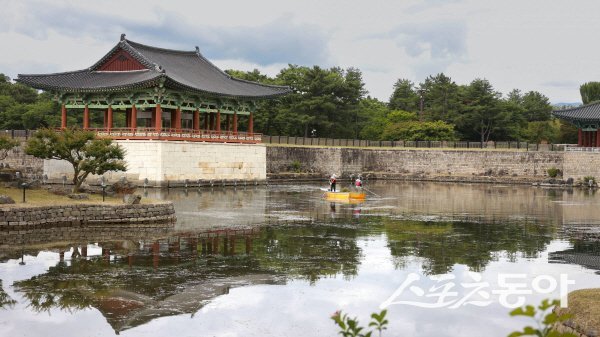 경주시가 동궁과 월지의 경관 개선과 수질 관리를 위해 수초 제거를 하고 있다. 사진제공 ㅣ 경주시