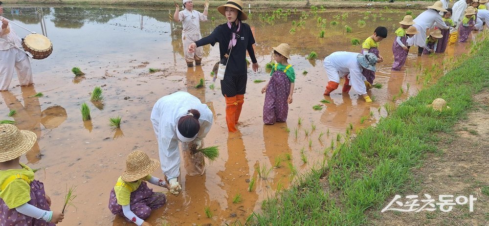 무안군이 지난 19일 무안읍 용월리 상동마을 일원에서 열린 ‘무안 상동 들노래 모내기 행사’를 성황리에 마무리했다. 사진제공=무안군