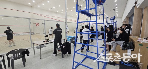 김천 스쿼시경기장에서 ‘제29회 금곡배 전국 초·중·고 스쿼시 선수권대회’를 개최한다. 사진제공 ㅣ 김천시
