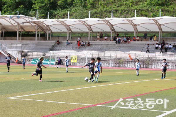 지난해 ‘울진금강송배 전국 유소년클럽 축구대회’ 경기 모습. 사진제공 ㅣ 울진군