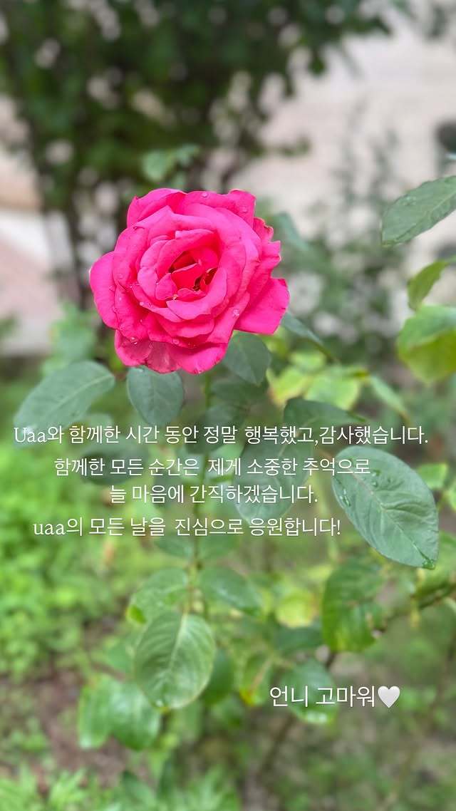 송혜교 SNS 캡처