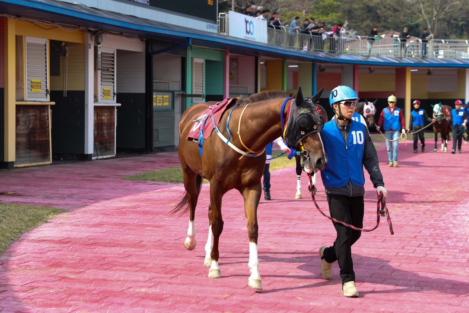 “하반기 스프린트 판도 미리 본다”…5일 1200m 1등급 빅매치