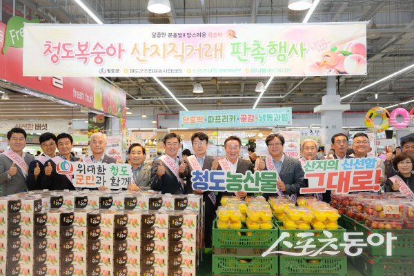 청도군이 하나로마트 농협울산유통센터에서 청도복숭아 특별 판촉행사를 진행하고 있다. 사진제공 ㅣ 청도군