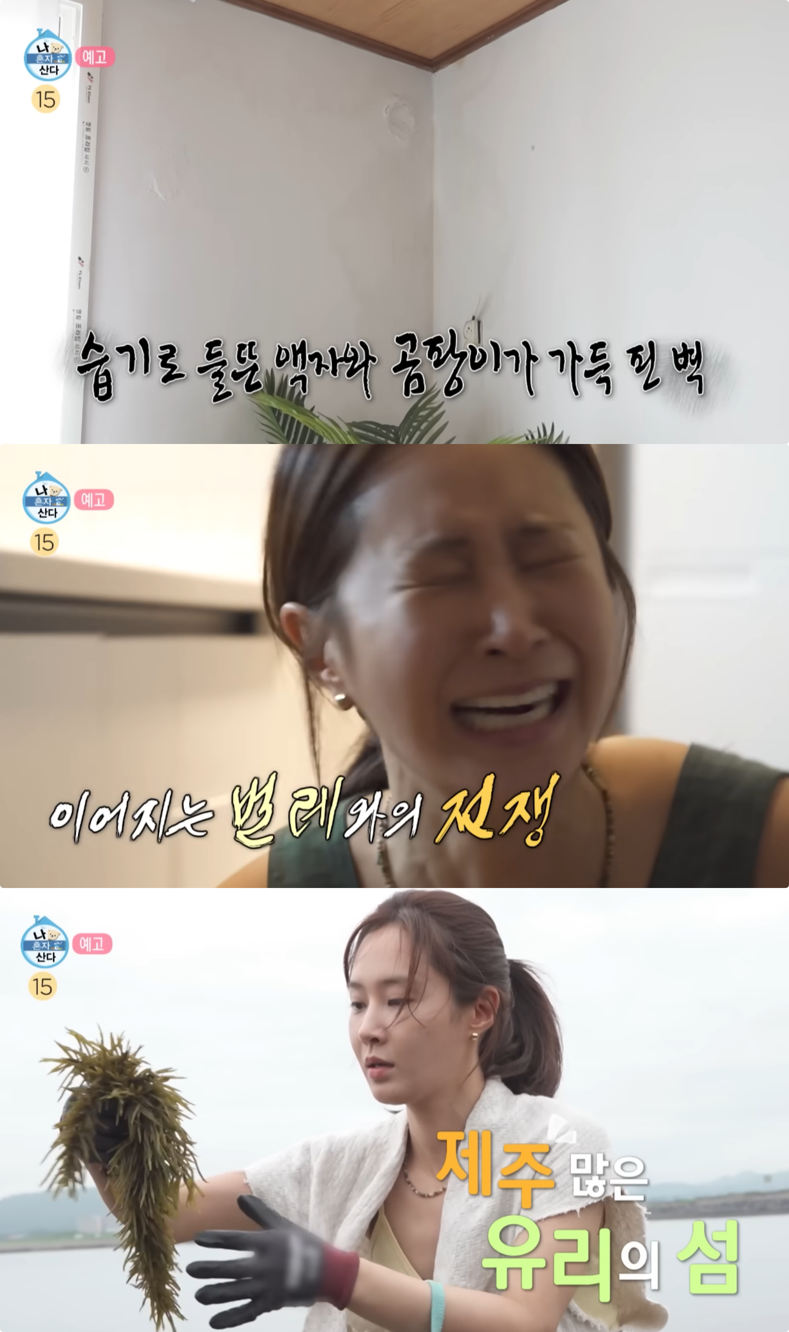 사진제공|MBC