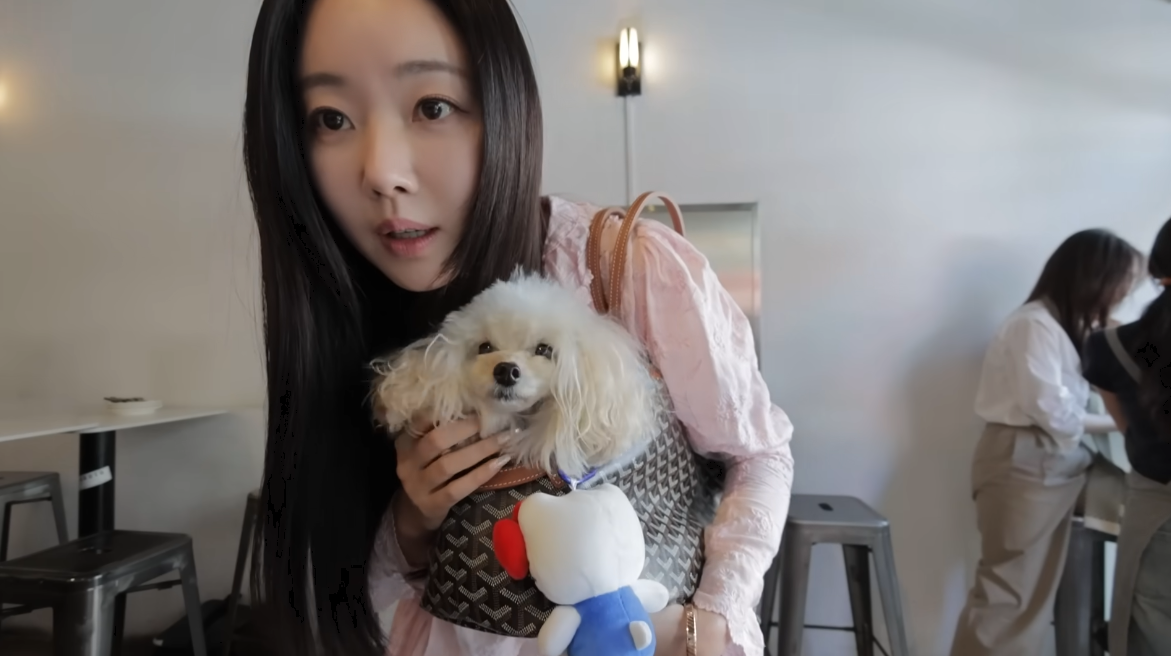 48세 김사랑, 반려견도 280만원 명품백…뉴욕 앞두고 2kg 감량