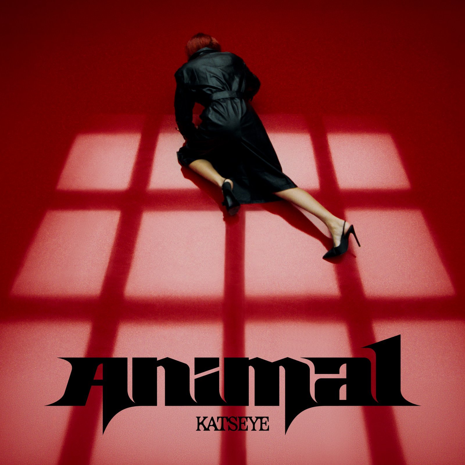 고전 첩보물 연상 시키는 미스터리…캣츠아이 신곡 ‘Animal’ 기대감↑
