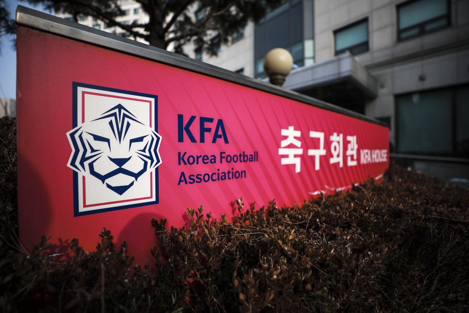 참고인 줄줄이 이탈한 국회 청문회, 회의록 없는 K-축구혁신위…한국축구 개혁 위해 필요한 책임감과 투명성