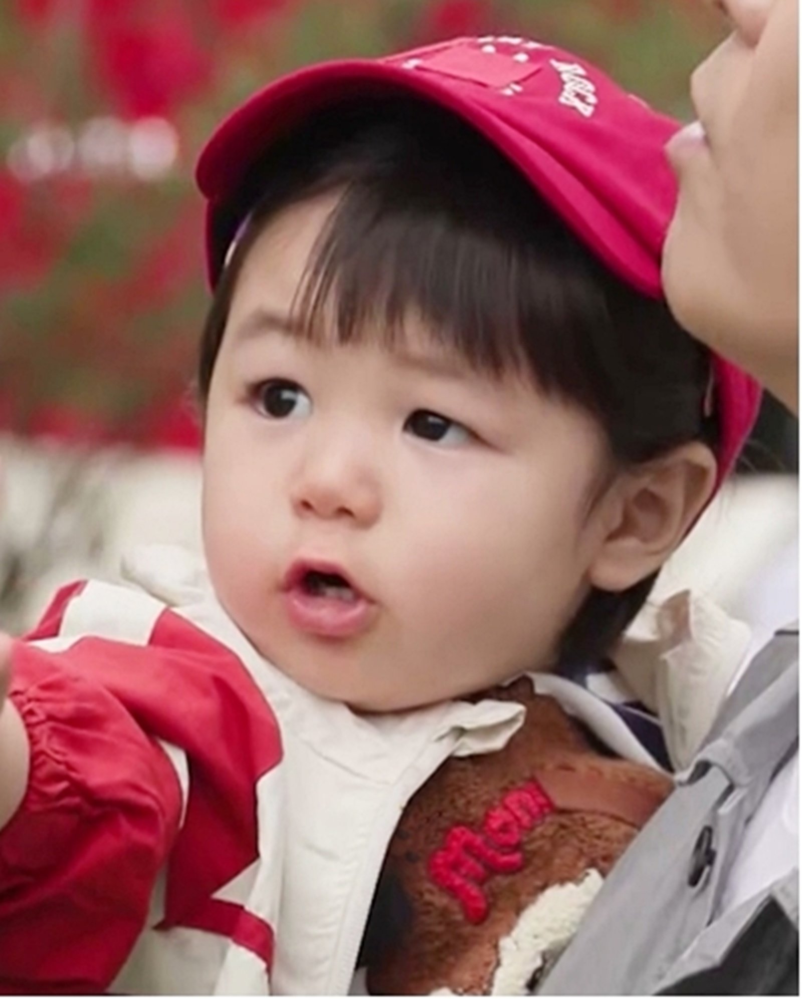 ‘심형탁 子’ 하루, 아빠 닮아 덕질 본능 폭발…“그거 줘” (슈돌)