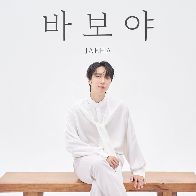 ‘감성천재’ 재하, 직접 만든 애절한 ‘바보야’ 발매 [DA투데이]