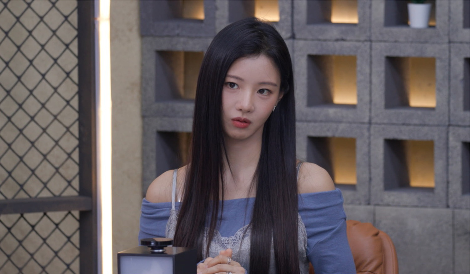 이세희, 불법 번식장 개 138마리 구조 사연에 '먹먹'(개늑시2) - 뉴스 썸네일 이미지