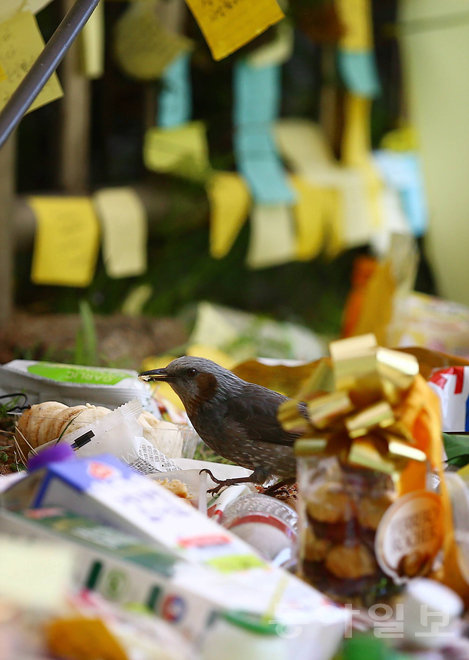 (사진=전영한 기자 scoopjyh@donga.com)